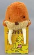 セイウチ ふんばるず