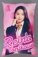 Koki (Reina Tanikawa) Platinum Zacca Big Cushion "Eiga 『 Megami Korin 』" Mo Leafa ンタジー ・ PALO only