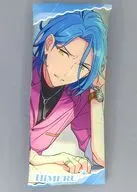 HiMERU ビッグクッション 「あんさんぶるスターズ!!」 GiGO限定