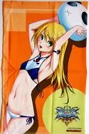 "Noel / 3 ds Soft BLAZBLUE CONTINUUM SHIFT2" Gamers Purchase benefits