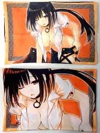 "PS3 Soft Fairy Fenser F Limited Edition" "Animate Limited Edition"