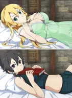 2-Type Set Sleeping Pillow Case Vol. 2 "SWORD ART ONLINE - hollow Realization -"