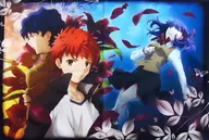 C.間桐桜＆衛宮士郎＆間桐慎二 ビッグクッションカバー 「劇場版 Fate/stay night[Heaven’s Feel」 セガ限定