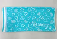 SHINee ピローケース 「SHINee WORLD J Presents ～SHINee SPECIAL FAN EVENT～」