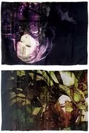 いばら姫＆ドロシー ナイトメアピローカバー 「SINoALICE-シノアリス-」
