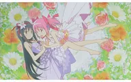 Sheets by Madoka Kaname and Blossom Akatsuki "PUELLA MAGI MADOKA MAGICA : The Story of Treason"