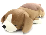 "Premium Sleeping Animals"