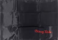Funda de almohada para niños Stray "Stray Kids World Tour " VIP ticket bono
