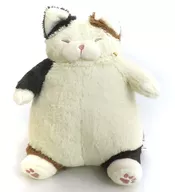 Mikeneko Sanma Hug Pillow M Size "Cat's Positive Feeling"