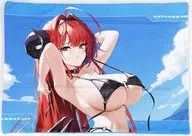 ヒンデンブルク ピローケース 「アズールレーン サマーフェア2025」