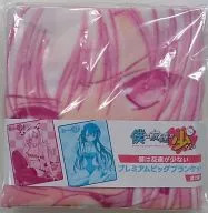 Hoshina Kashiwazaki Premium Big Blanket "Haganai"