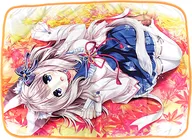 [A la Carte] Kinakazato Momiji Draw Oroshi Momiji Blanket "PC Software Enishi Konoha wa Beni ni Premium Pack Version" included special order