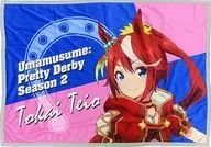 Tokai Teio Hizakake "Uma Musume Pretty Derby Season 2 x Shimamura"