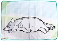 キュルガ(睡眠)毛毯Taito在线起重机限定