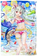 [A la Carte] Dragon Princess Towel Blanket "Z/X -Zillions of Enemy X-CD Towel Blanket"