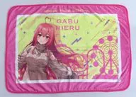 Rieru Gabu blanket "Virtual YouTuber Aogiri High School ~ It's like a thrill date ~ In Fujikyu-Highland ~"