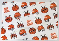 Mei-chan Fluffy Blanket "¡Incluso los hikikomori quieren un festival! - World Conquest ll @Tokyo Dome - ONLINE"