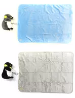 全2種セット いっしょにお昼寝 ぺんぎんさん 冷感ブランケット付き タイトー限定