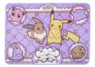 ピカチュウ・イーブイたち プラチナムザッカfuwa＆hugブランケット～ピカチュウ＆イーブイ～ 「ポケットモンスター」