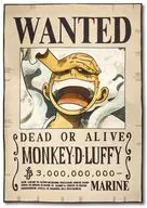 モンキー・D・ルフィ 手配書ブランケット 「ワンピース」