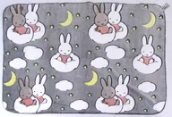 ミッフィー＆メラニー NIGHTver. 蓄光ブランケット Mサイズ 「ミッフィー」