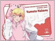 箱根有基 ブランケット ウォンバットパーカーver. 「劇場版 美男高校地球防衛部ETERNAL LOVE!」