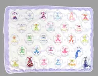 コスチュームデザイン ブランケット 「一番くじ プリキュア ～Shining moment～」 D賞