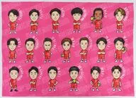 サントリーサンバーズ大阪 選手イラストブランケット(ガールズフェスver.)