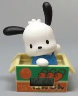 Pochakko "Sanrio Character Kutas Cardboard Watch"