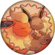 Booster & Eevee "Pocket Monsters Embroidered Walnut Badge Collection Honwaka-Poka-Poka" Pokemon Center limited