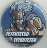 Tetsutetsu Tetsutetsu "MY HERO ACADEMIA PLUS ULTRA SQUARE - Pools Ultra Square - PLSQ Trading Metallic metal badge (5 term KV)"