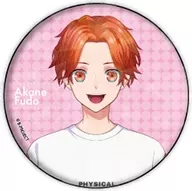 明謙 inamovible "Holograma metal badge (65 mm) B - Proyecto Meteoro * Fantasía 02"