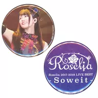 Aiba Aina metal badge 2-Piece Set (Aiba Aina ver. + logo ver.) "Blu-ray Roselia 2017-2018 LIVE BEST -Soweit -" Animate Purchase benefits