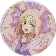 Narita Top Road新插图徽章