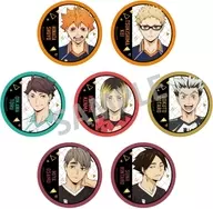 All 7 types set "Haikyu! Trading hot stamping metal badge (A)"