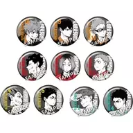 10-Type Set "Carappare Haikyu!!! Portrait Trading metal badge"