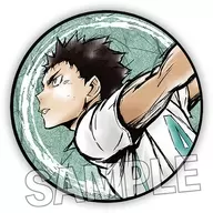 IWAIZUMI - UMA LUTA FEROZ! UM DISTINTIVO "HIKYU!"