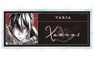 XANXUS (10 years later) "Private Teacher Hit Man REBORN! Trading Ani-Art BLACK LABEL Acrylic Name Plate ver. B"