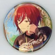 逆先夏目 「あんさんぶるスターズ!! 限定招募(スカウト) 缶バッジ 第二弾 Aグループ」 中国限定