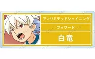 Hakuryu "INAZUMA ELEVEN GO Trading Acrylic Name Plate Holly Road Ver."