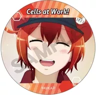 A. Glóbulos rojos "Cells at Work! Trading Co. metal badge"