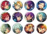12 kinds set "Ensemble Stars! Collection metal badge [2024 Nov] -Idol Side -"