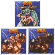 Conjunto de emblemas "Switch Soft Super Brother Collection" Bônus de compra de Toranoanna
