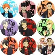9-Type Set "Haikyu!!! 4-character Jukugo Badge Collection"