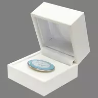 Aimer pin badge (blue) "Aimer Fan Club Tour" ete "limited to Osaka venue