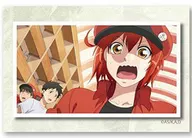 Red blood cell 「 Cells at Work! Square metal badge Collection emergency 態編 」