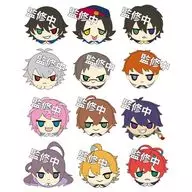 12-Piece Set "Hypnosis Mic -Division Rap Battle - ヒプマイ Sanrio Mix Jump out! Nui Mascot"