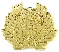 校章(学园BASARA标志)胸针C95商品