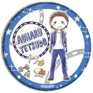 Línea Yokosuka "Seishun Tetsudo metal badge 03. Graph Art Design"