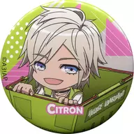 Citron "Anime A3! (A3) Mini Character Trading metal badge Spring Group & Summer Group" Village Vanguard only